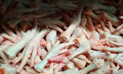 Лапы куриные оптом