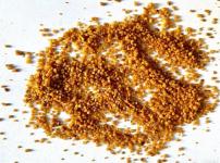 Грецкий орех дробленый в сахаре 1-3 мм грильяж