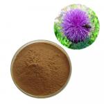 Левзеи Экстракт (Экдистерон)