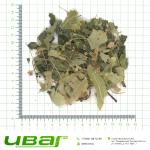 Липа цветки с листом