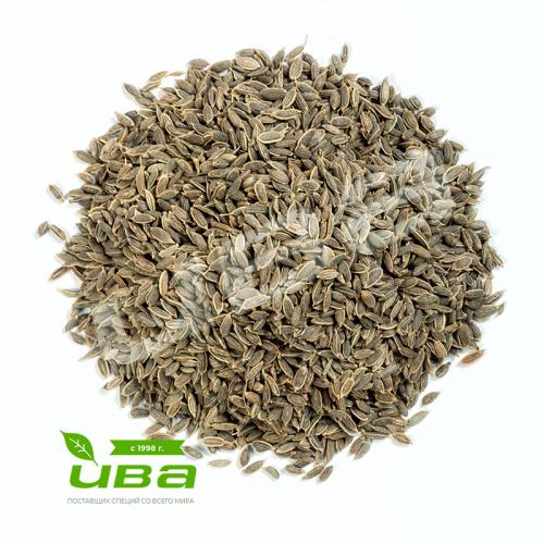 Укроп семена Индия оптом