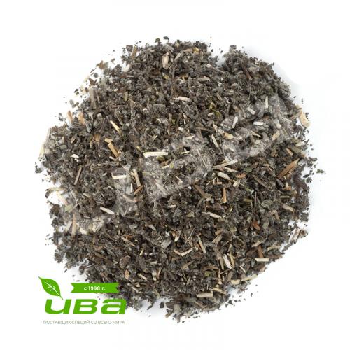 Шалфей лист резаный Россия оптом