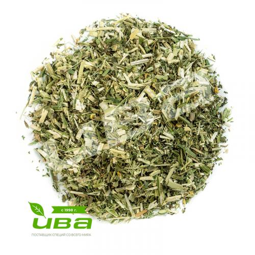 Донник трава