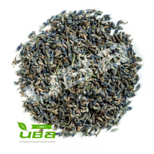 Лаванда цветки оптом