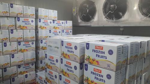 Джекфрут мякоть заморозка