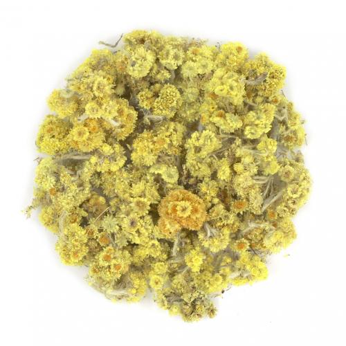 Бессмертник цветки