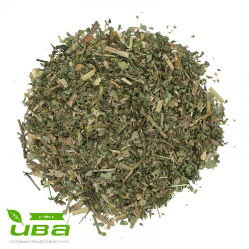 Чистотел трава Россия оптом