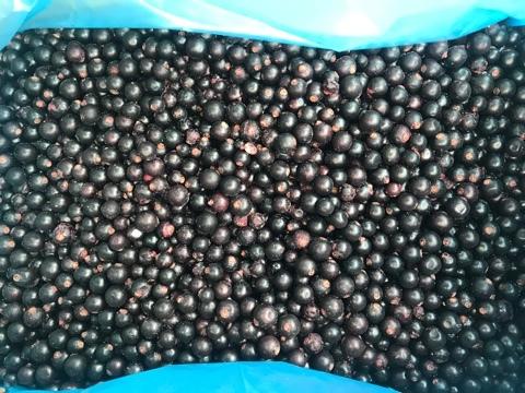 Замороженные ягоды для пищевых производств, предприятий общественного питания и кулинарии