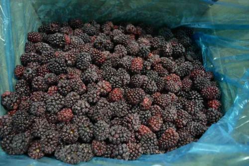 Замороженные ягоды для пищевых производств, предприятий общественного питания и кулинарии