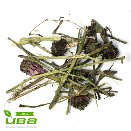 Эхинацея трава резаная оптом