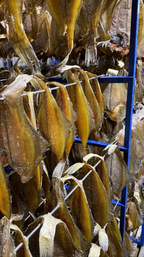 Камбала - ерш