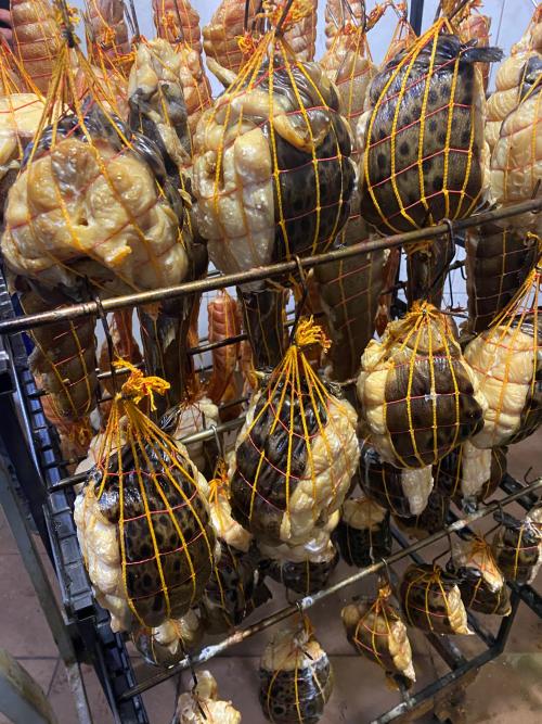 Камбала - ерш