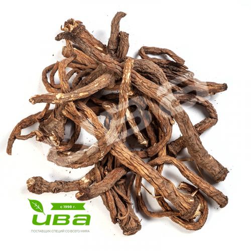 Одуванчик корень 