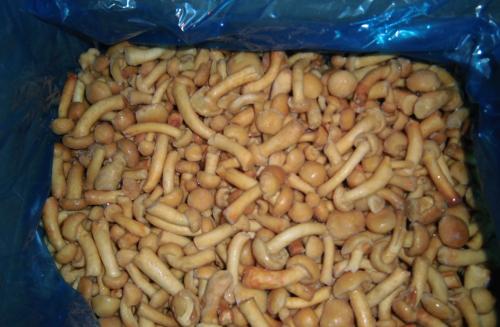 Замороженные грибы для пищевых производств, предприятий общественного питания и кулинарии