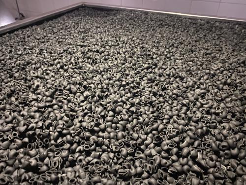 Макаронные изделия оптом с натуральными чернилами каракатицы