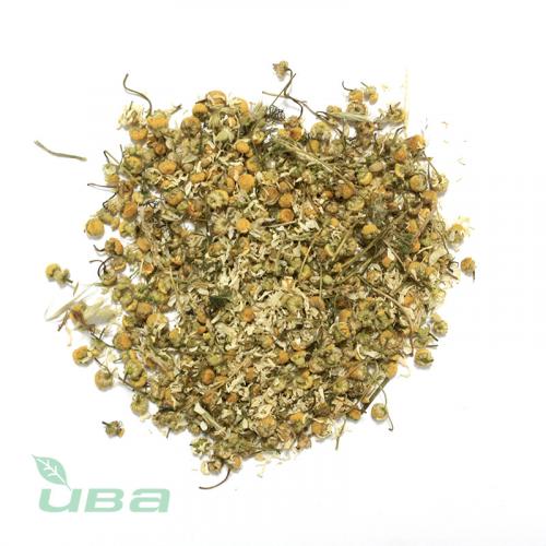 Ромашка цветки отборные без стебля Россия оптом