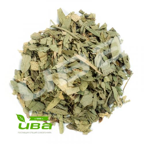 Сенна лист оптом