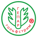 Компания Гольфстрим