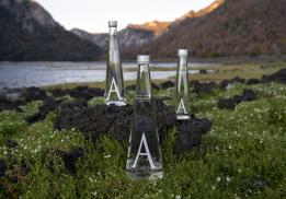 Игнатьев Импорт