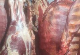 Мясная Империя 