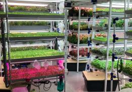 Ситиферма Урал Зелень