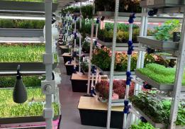 Ситиферма Урал Зелень