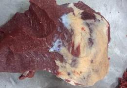 Мясная Империя 