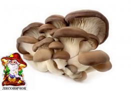 Лесовичок
